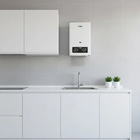 chauffe-eau-gaz-thermolink (2).webp