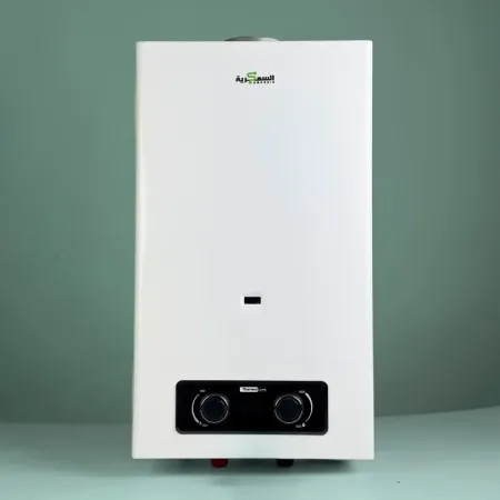 chauffe-eau-gaz-thermolink (7).webp