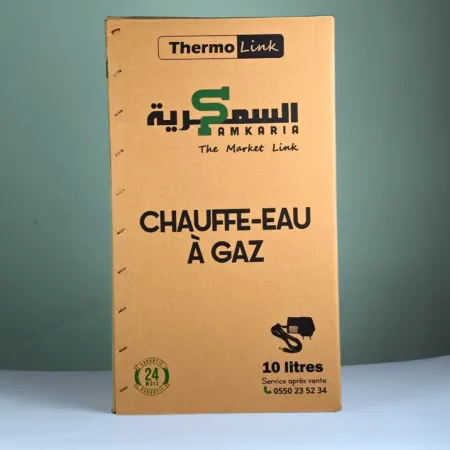 chauffe-eau-gaz-thermolink (8).webp
